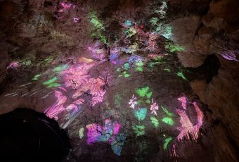 The cave by Chef Ryan Clift User Photo