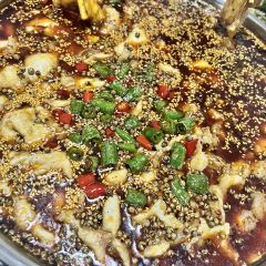银城鱼府 User Photo