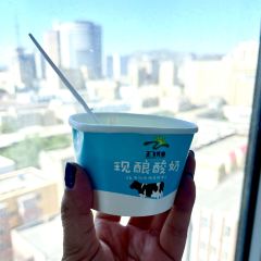 ZHENG FEI DAIRY 여행 사진