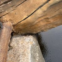 評論圖片 3