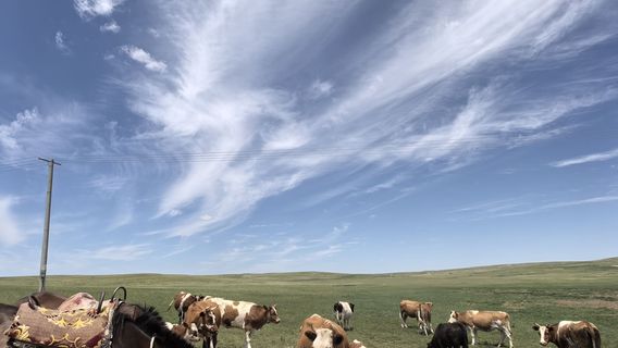 xi la mu ren cao yuan shen chu