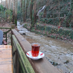 Dobruca Kaya Restaurant User Photo