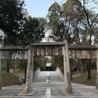 評論圖片 2