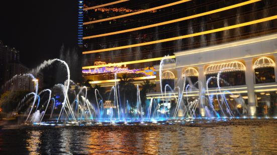 永利皇宫音乐喷泉是WET在中国的最新产品之一，其样式参考了著