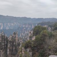 評論圖片 9