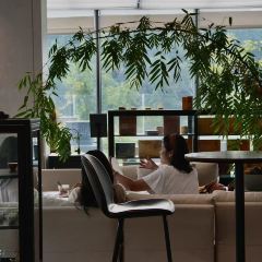 桃仚居張用戶圖片