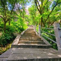 評論圖片 5