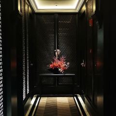 SHANGHAI TAN ảnh của người dùng