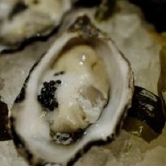 Whitebait Inn Mokau User Photo