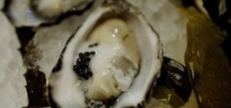Whitebait Inn Mokau