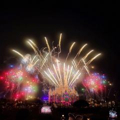 Shanghai Disney Resort User Photo