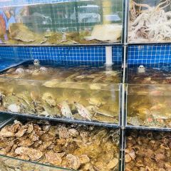 Pinhai Steamed fresh cafeteria User Photo