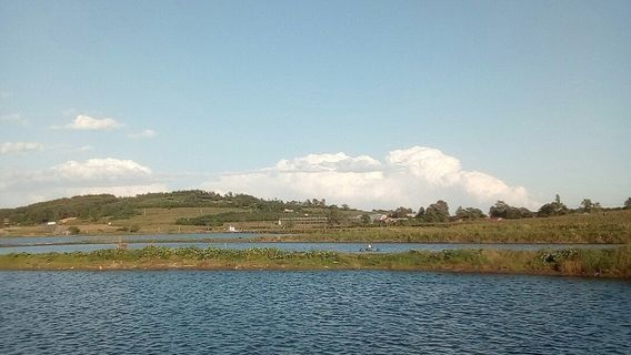 Donggang