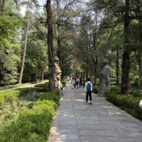 評論圖片 7