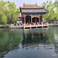 評論圖片 5