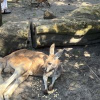 評論圖片 3