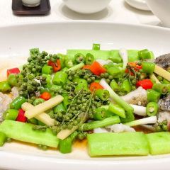 MABAO MANOR User Photo