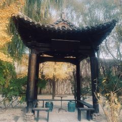 Green T. House 여행 사진