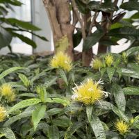 評論圖片 9