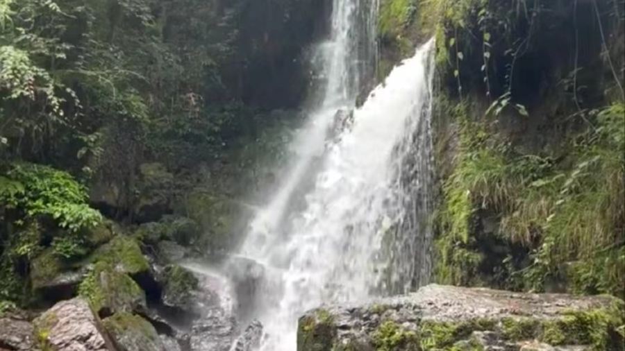 宽山隐庐度假酒店-隐庐餐厅