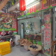 树上土鸡 User Photo