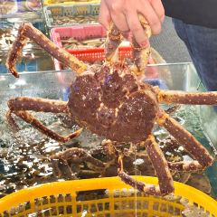 LU JIANG YI HAO User Photo