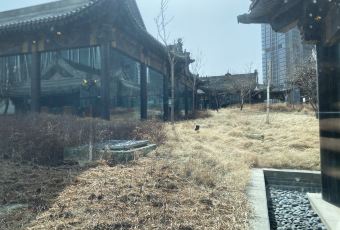 YU MANSION User Photo