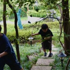 桃仚居張用戶圖片