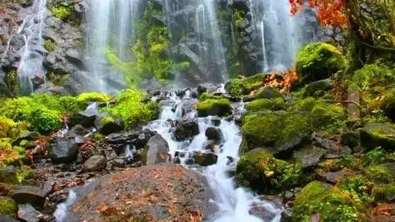 Shiwudaogou Battle Site