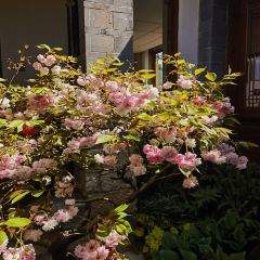 Qianxue RESTAURANT User Photo