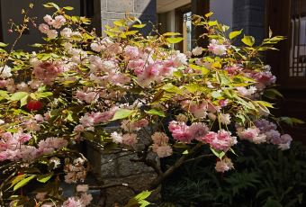 Qianxue RESTAURANT User Photo