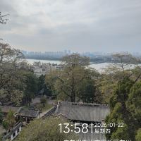 評論圖片 7