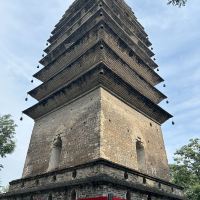評論圖片 4