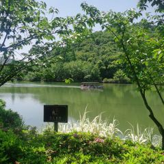 杭州逍遥庄园·湘湖山房·云从全日餐厅 User Photo