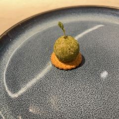 荟廷·晶萃(静安晶品店) User Photo