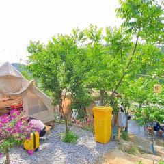 塘三菜·纯野露营咖 User Photo