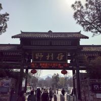 評論圖片 1