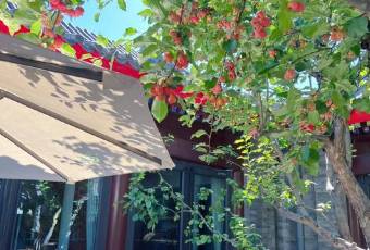 Jing Zhao Yin (Yong He Gong) user photo