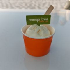 Mango Tree User Photo