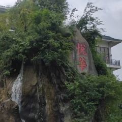 廈門悅華飯店·展鴻閣中餐廳張用戶圖片