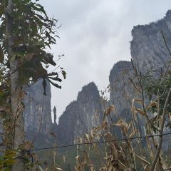 YI JIA YI NONG GU LE User Photo