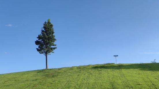 去过华南植物园，伦敦邱园。我觉得上海辰山植物园给我感觉很舒服