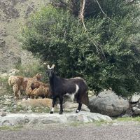 評論圖片 7