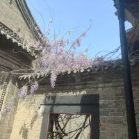 評論圖片 5