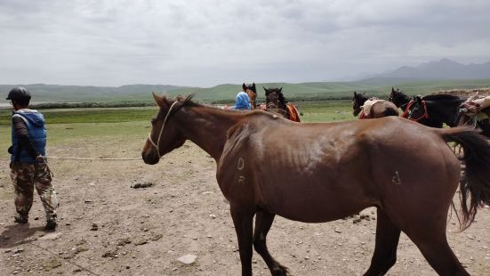 軍馬場門票不貴，65元加上景區車票20元，不過到了軍馬場騎馬