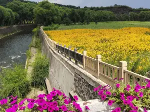 长寿牛肉汤