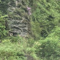 評論圖片 3