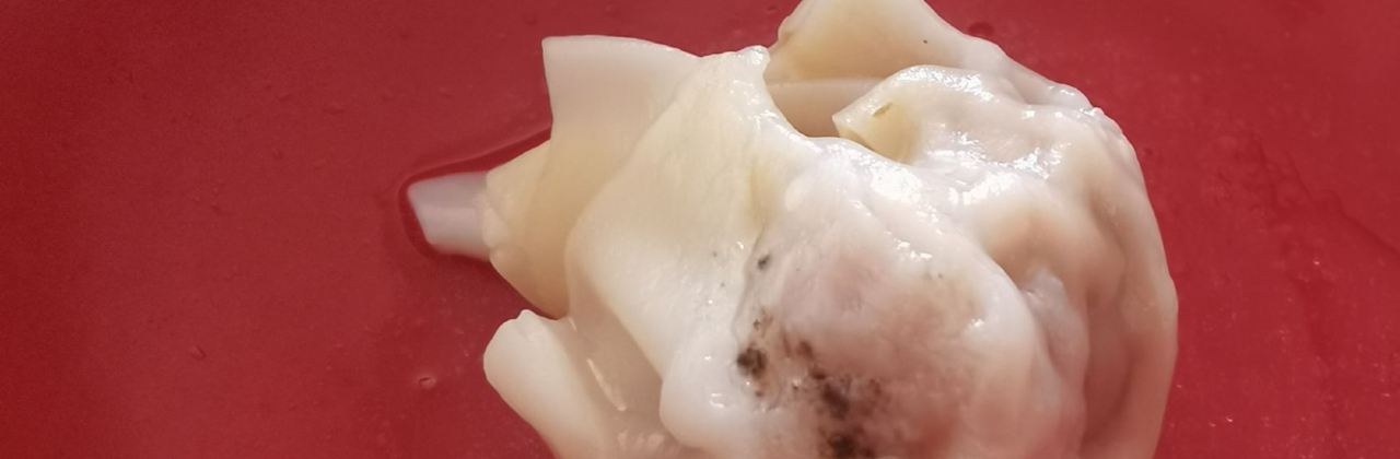 老刘家馄饨铺(东门店)