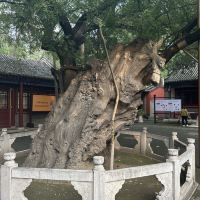 評論圖片 8