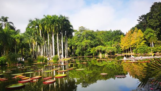 Xishuangbanna Tropical Botanical Garden, Chinese Academy of Sciences - East Tour Area